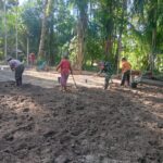IMG-20250612-WA0023